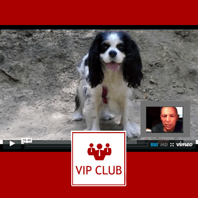 learn polish vip club icon