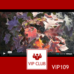 atch this short video and learn Polish naturally