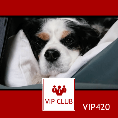 VIP420: Wyprawa do Kampinosu