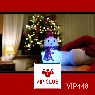 learn polish VIP448