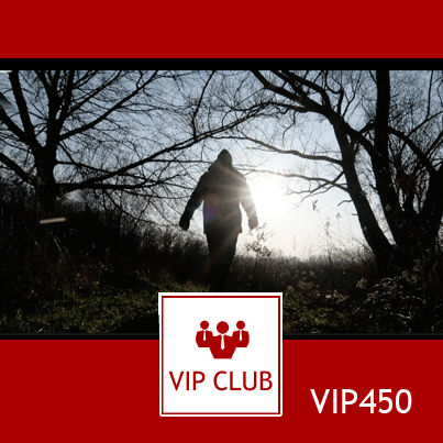 learn polish VIP450