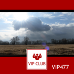 learn polish VIP477