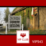 learn polish VIP543