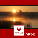 learn polish VIP545