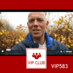 learn polish VIP583