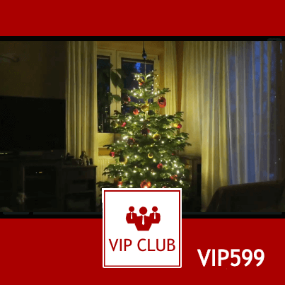 learn polish VIP599