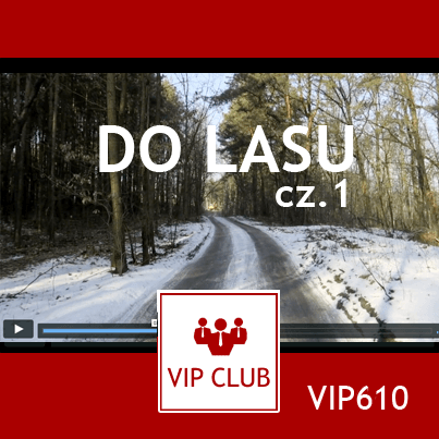 learn polish VIP610