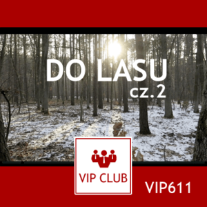 learn polish VIP611