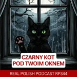 Learn Polish Podcast RP344 czarny kot pod twoim oknem