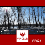 learn polish VIP624
