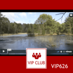 learn polish VIP626