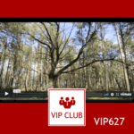 learn polish VIP627