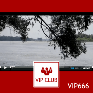 learn polish video VIP666