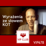 learn polish webinar wyrażenia ze słowem KOT VIP678