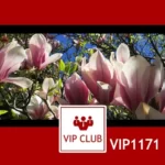 VIP1171: W Ogrodzie Botanicznym